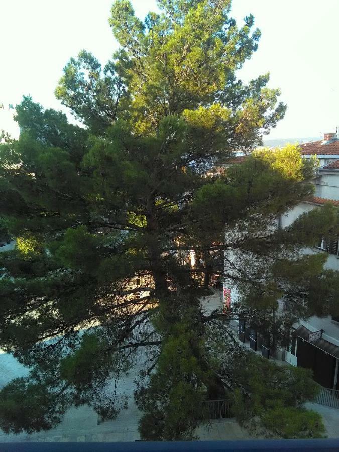 Apartment Sandra 2+2 *** تْسْغيكفانِتْسا المظهر الخارجي الصورة